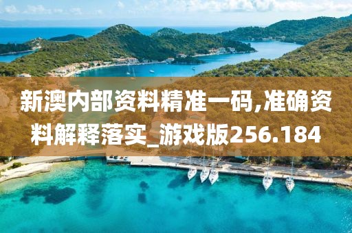 新澳內(nèi)部資料精準(zhǔn)一碼,準(zhǔn)確資料解釋落實(shí)_游戲版256.184