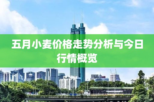 五月小麥價(jià)格走勢(shì)分析與今日行情概覽
