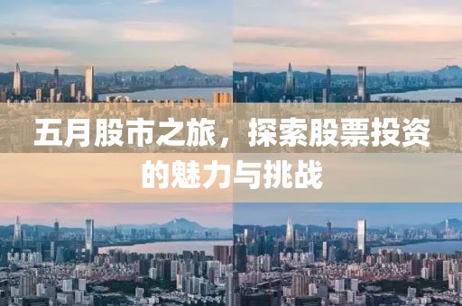 五月股市之旅，探索股票投資的魅力與挑戰(zhàn)