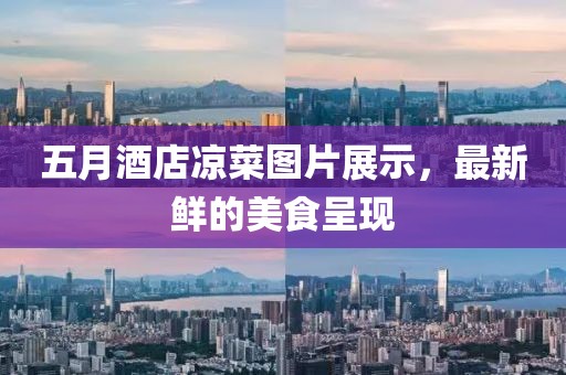 五月酒店涼菜圖片展示，最新鮮的美食呈現(xiàn)