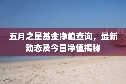 五月之星基金凈值查詢，最新動(dòng)態(tài)及今日凈值揭秘