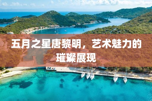 五月之星唐黎明，藝術魅力的璀璨展現(xiàn)