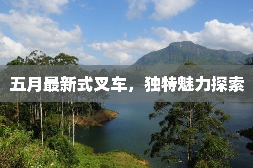 五月最新式叉車，獨(dú)特魅力探索
