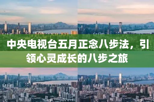 中央電視臺五月正念八步法，引領(lǐng)心靈成長的八步之旅