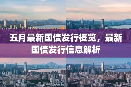 五月最新國(guó)債發(fā)行概覽，最新國(guó)債發(fā)行信息解析