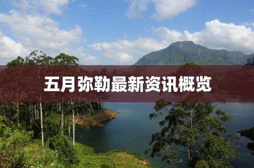 五月彌勒最新資訊概覽