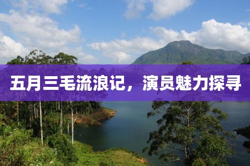 五月三毛流浪記，演員魅力探尋