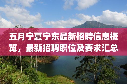 五月寧夏寧東最新招聘信息概覽，最新招聘職位及要求匯總