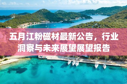 五月江粉磁材最新公告，行業(yè)洞察與未來(lái)展望展望報(bào)告