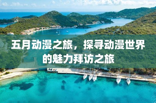 五月動(dòng)漫之旅，探尋動(dòng)漫世界的魅力拜訪之旅