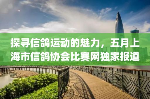 探尋信鴿運(yùn)動(dòng)的魅力，五月上海市信鴿協(xié)會(huì)比賽網(wǎng)獨(dú)家報(bào)道