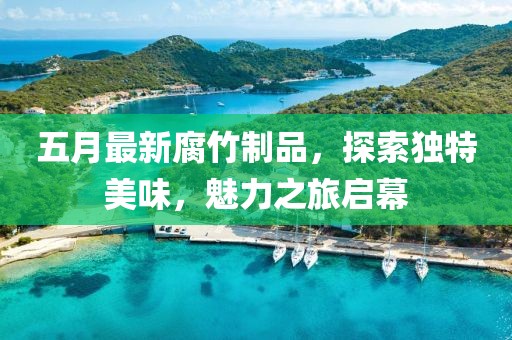 五月最新腐竹制品，探索獨特美味，魅力之旅啟幕