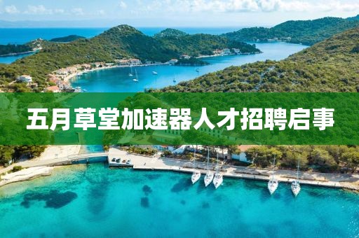 五月草堂加速器人才招聘啟事