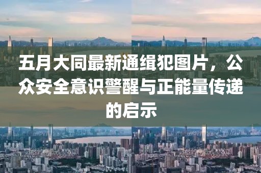 五月大同最新通緝犯圖片，公眾安全意識(shí)警醒與正能量傳遞的啟示