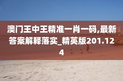 澳門王中王精準(zhǔn)一肖一碼,最新答案解釋落實(shí)_精英版201.124