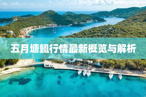 五月塘鲺行情最新概覽與解析