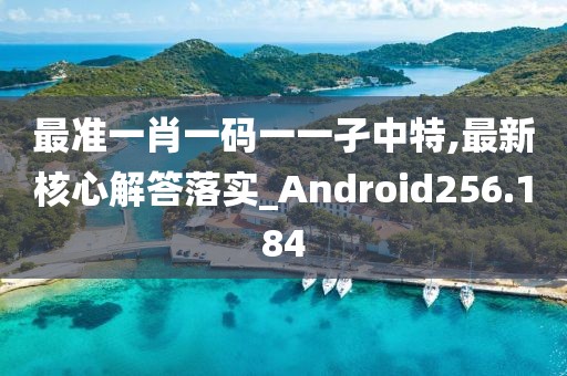 最準(zhǔn)一肖一碼一一孑中特,最新核心解答落實_Android256.184