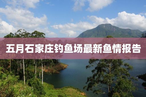 五月石家莊釣魚場最新魚情報告