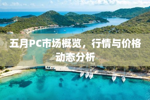 五月PC市場概覽，行情與價格動態(tài)分析