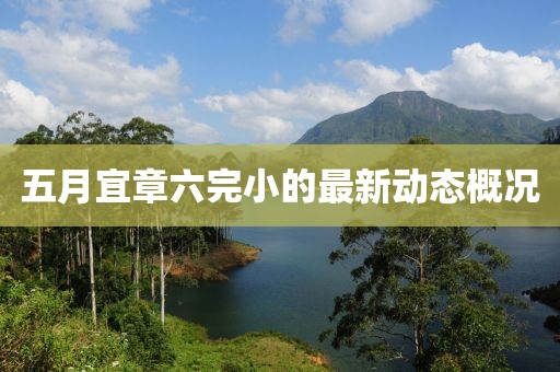 五月宜章六完小的最新動(dòng)態(tài)概況