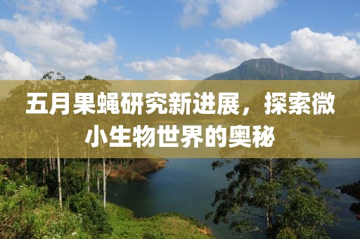 五月果蠅研究新進展，探索微小生物世界的奧秘
