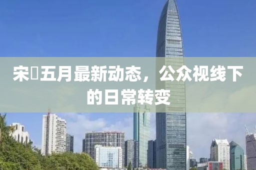 宋喆五月最新動(dòng)態(tài)，公眾視線下的日常轉(zhuǎn)變
