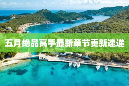 五月絕品高手最新章節(jié)更新速遞