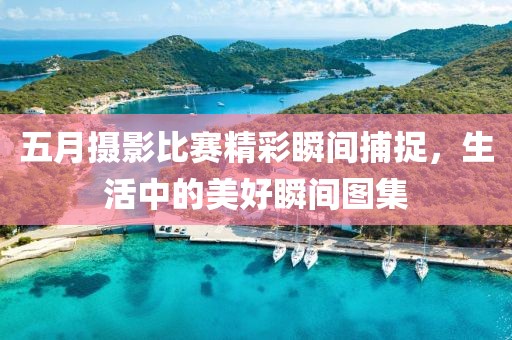 五月攝影比賽精彩瞬間捕捉，生活中的美好瞬間圖集