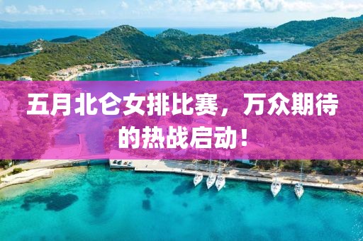 五月北侖女排比賽，萬眾期待的熱戰(zhàn)啟動！