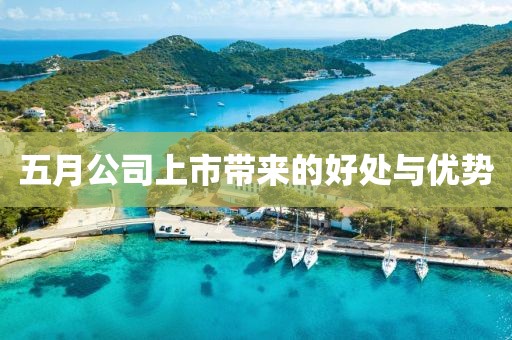 五月公司上市帶來(lái)的好處與優(yōu)勢(shì)