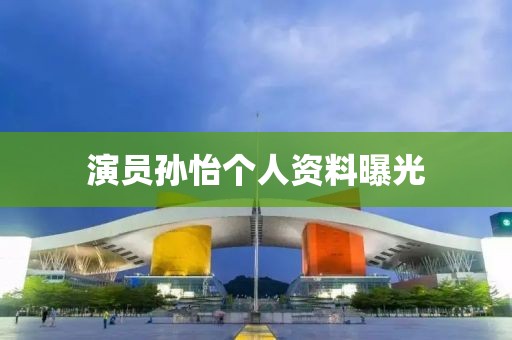 演員孫怡個人資料曝光