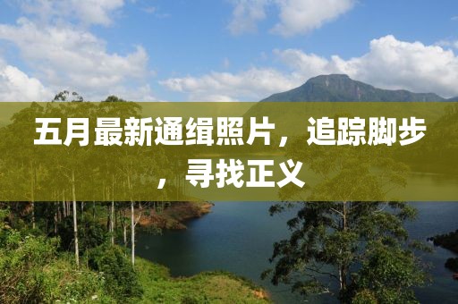 五月最新通緝照片，追蹤腳步，尋找正義