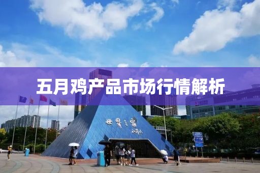五月雞產(chǎn)品市場行情解析