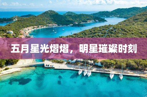 五月星光熠熠，明星璀璨時刻