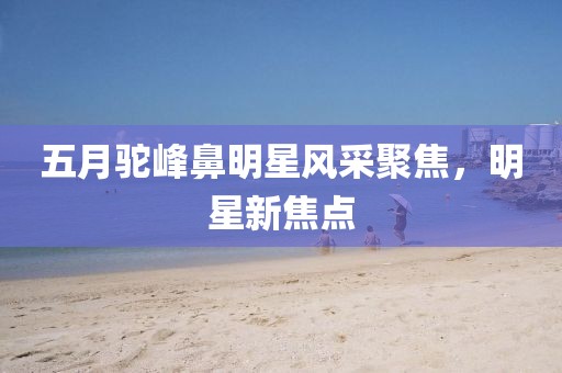 五月駝峰鼻明星風采聚焦，明星新焦點
