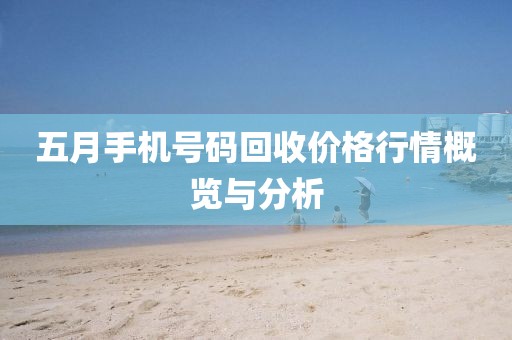 五月手機號碼回收價格行情概覽與分析