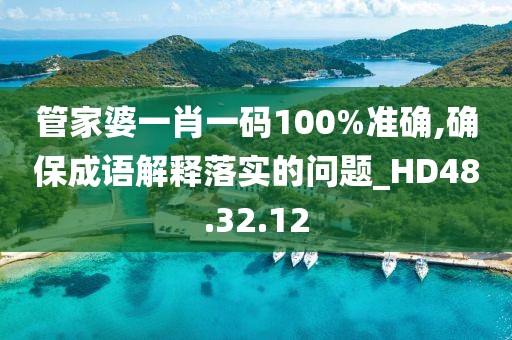 管家婆一肖一碼100%準確,確保成語解釋落實的問題_HD48.32.12