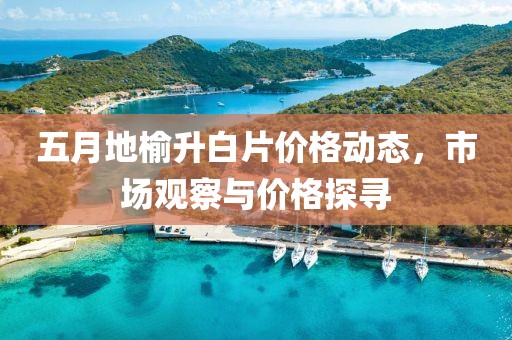 五月地榆升白片價格動態(tài)，市場觀察與價格探尋