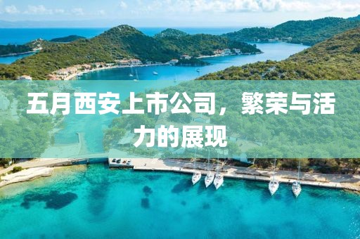 五月西安上市公司，繁榮與活力的展現(xiàn)