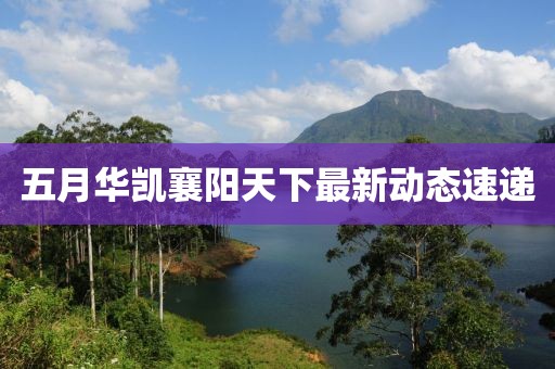 朱綠蕊