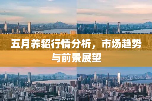 五月養(yǎng)貂行情分析，市場(chǎng)趨勢(shì)與前景展望