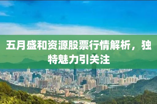 五月盛和資源股票行情解析，獨特魅力引關注