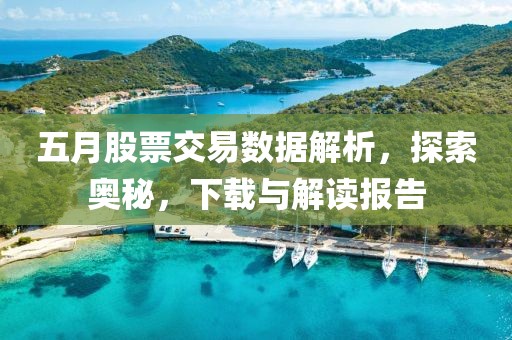 五月股票交易數(shù)據(jù)解析，探索奧秘，下載與解讀報告