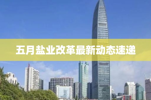五月鹽業(yè)改革最新動態(tài)速遞