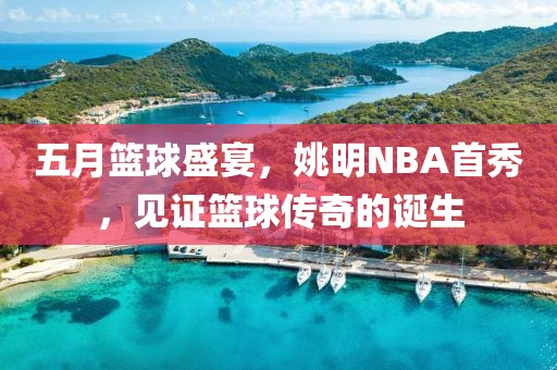 五月籃球盛宴，姚明NBA首秀，見證籃球傳奇的誕生