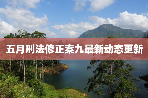 五月刑法修正案九最新動態(tài)更新