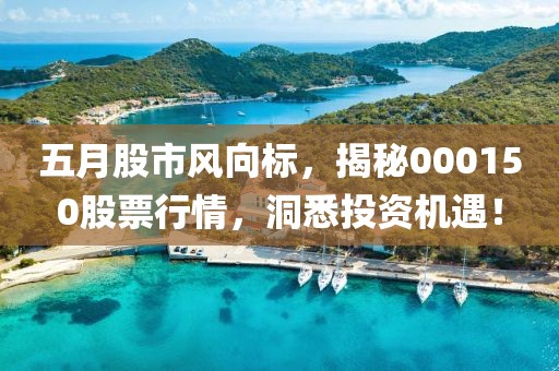 五月股市風向標，揭秘000150股票行情，洞悉投資機遇！