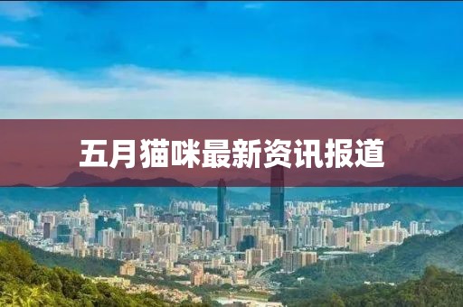 五月貓咪最新資訊報道