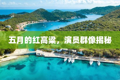 五月的紅高粱，演員群像揭秘
