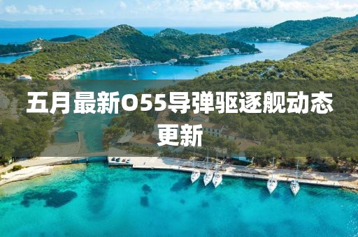 五月最新O55導彈驅(qū)逐艦動態(tài)更新